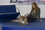 Имя файла=_MG_5003.jpg
Размер файла=123КБ
Размеры=1200x800
Дата=Авг 13, 2010 _MG_5003.jpg