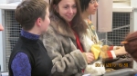 Имя файла=IMG_0782.jpg
Размер файла=1522КБ
Размеры=3648x2048
Дата=Янв 21, 2011 IMG_0782.jpg